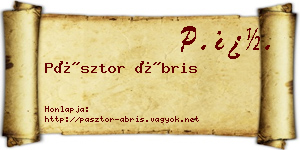 Pásztor Ábris névjegykártya